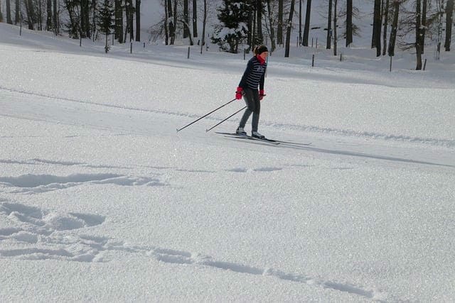 日帰りスキーツアーの魅力と楽しみ方完全ガイド